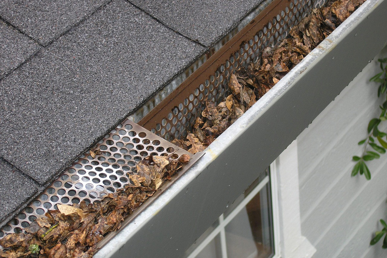 dirty-gutters-on-roof dirty-gutters-on-roof